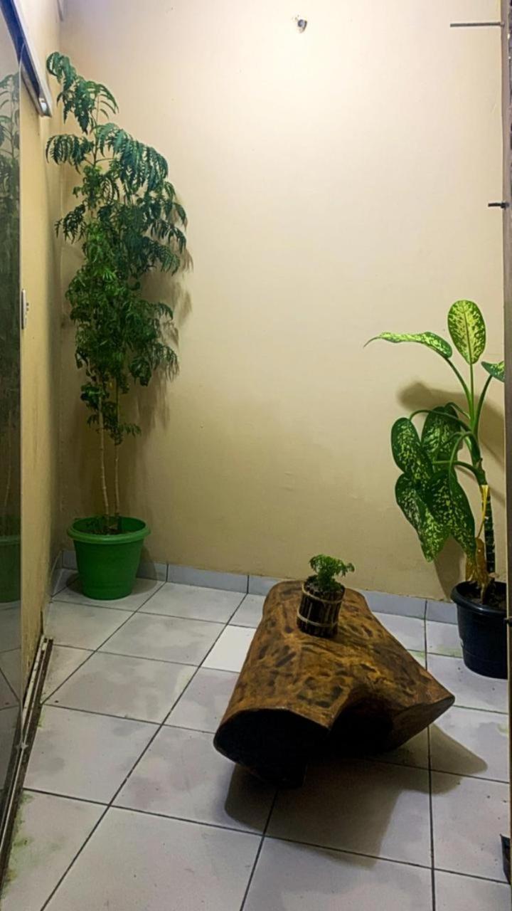 Pousada Shalom E Hostel Holly Land Santo Amaro do Maranhao Exterior foto