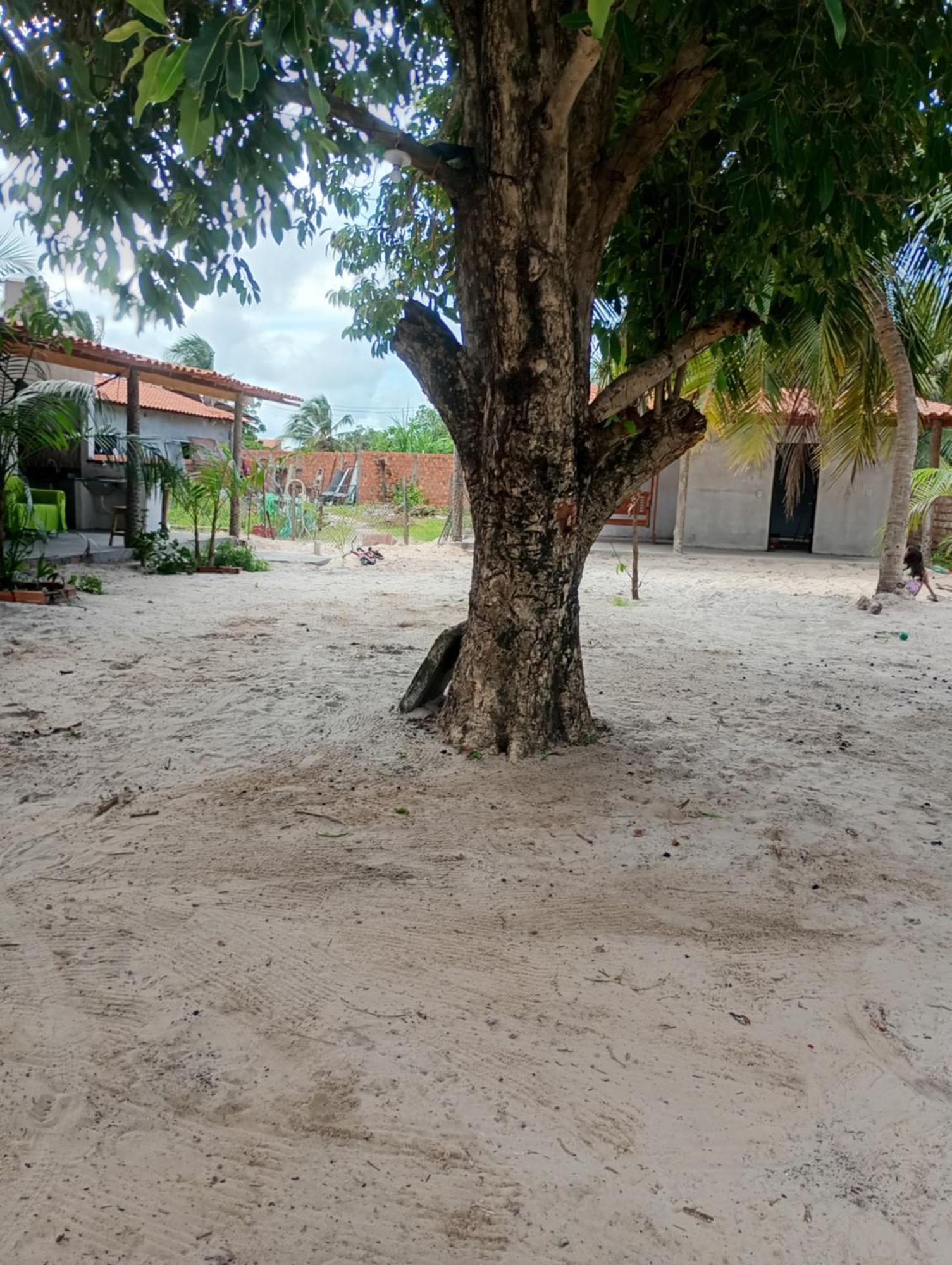 Pousada Shalom E Hostel Holly Land Santo Amaro do Maranhao Exterior foto